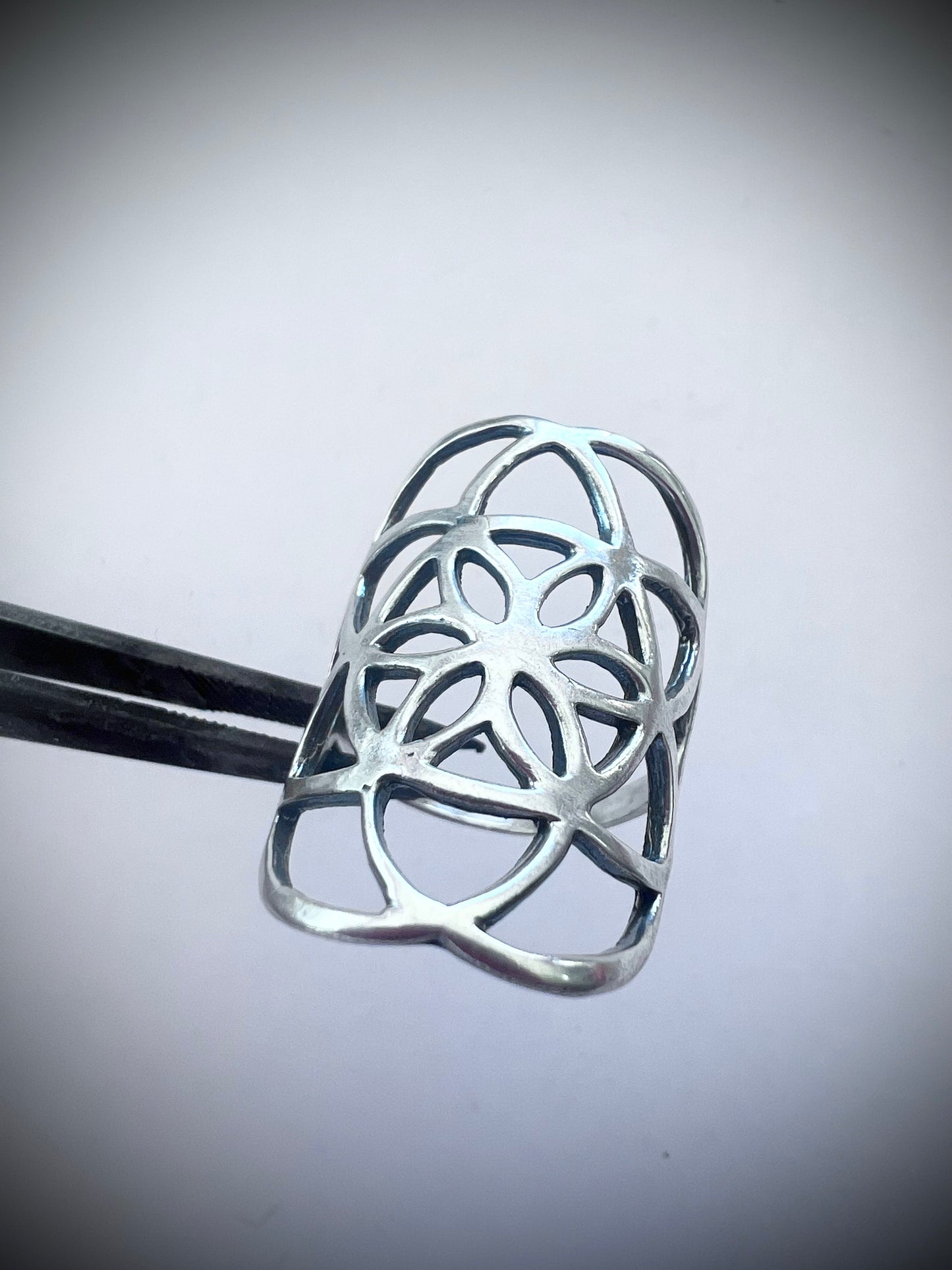 Anillo Semilla de la Vida Talla 12