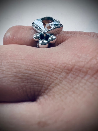 NEW! Anillo Constanza - Talla 12